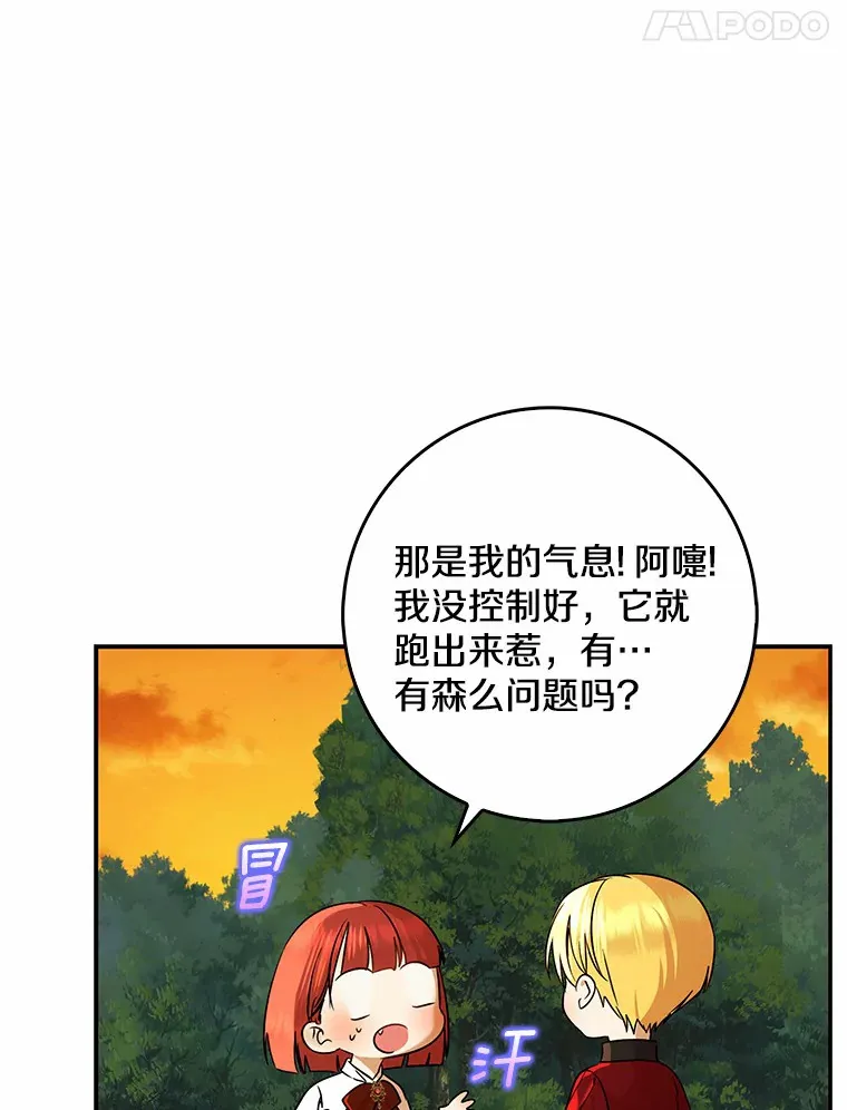 40.神秘的西卡勒95