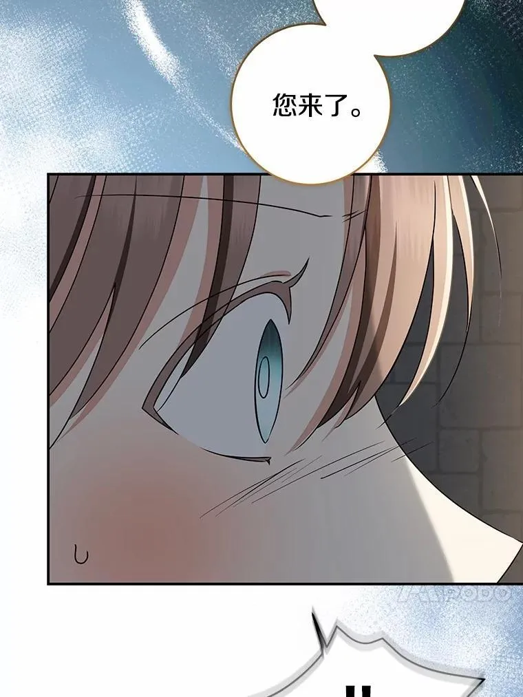 81.真正的实权者63