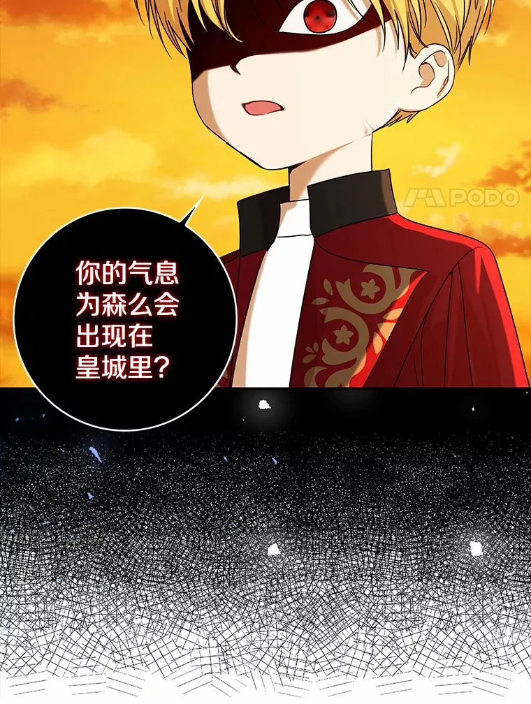 40.神秘的西卡勒98