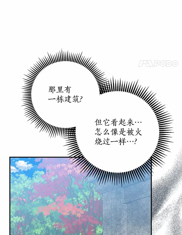 47.深树林99