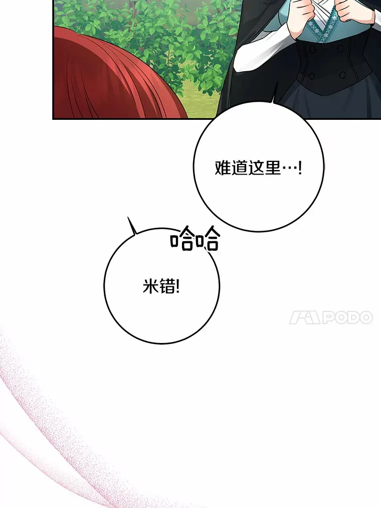 47.深树林76