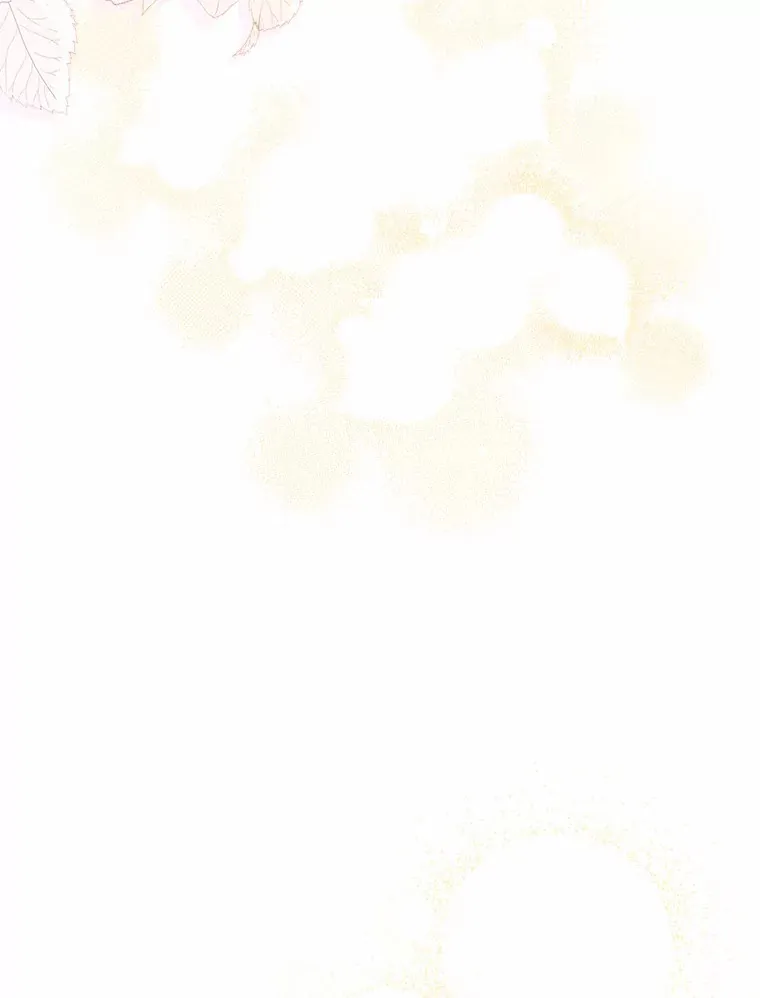 40.神秘的西卡勒25