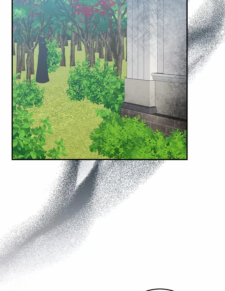 47.深树林100