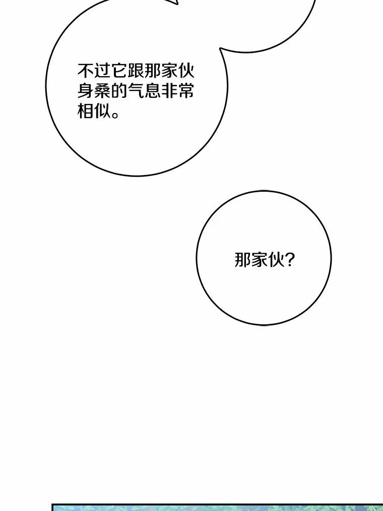 47.深树林85
