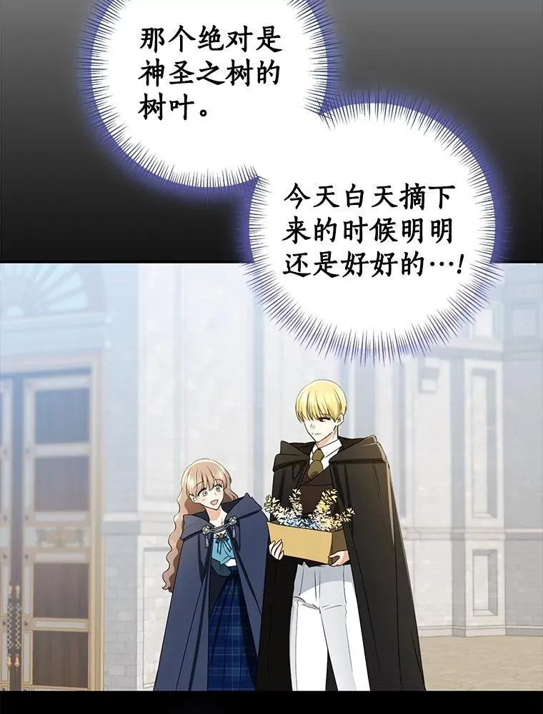81.真正的实权者195