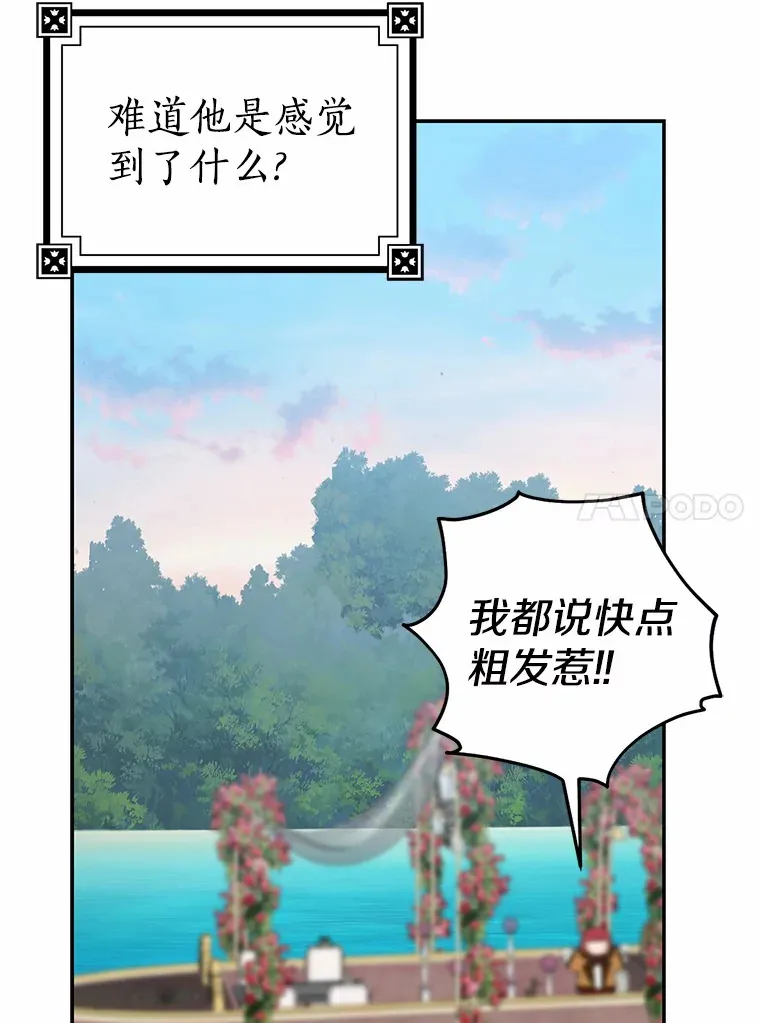 40.神秘的西卡勒9