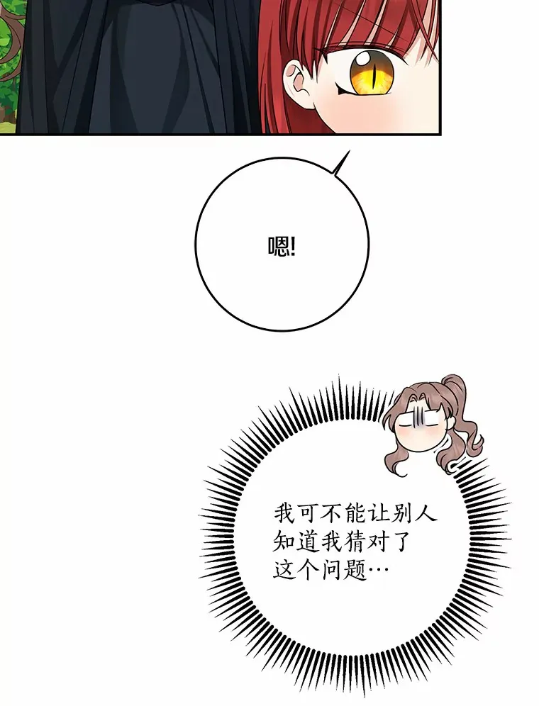 47.深树林88