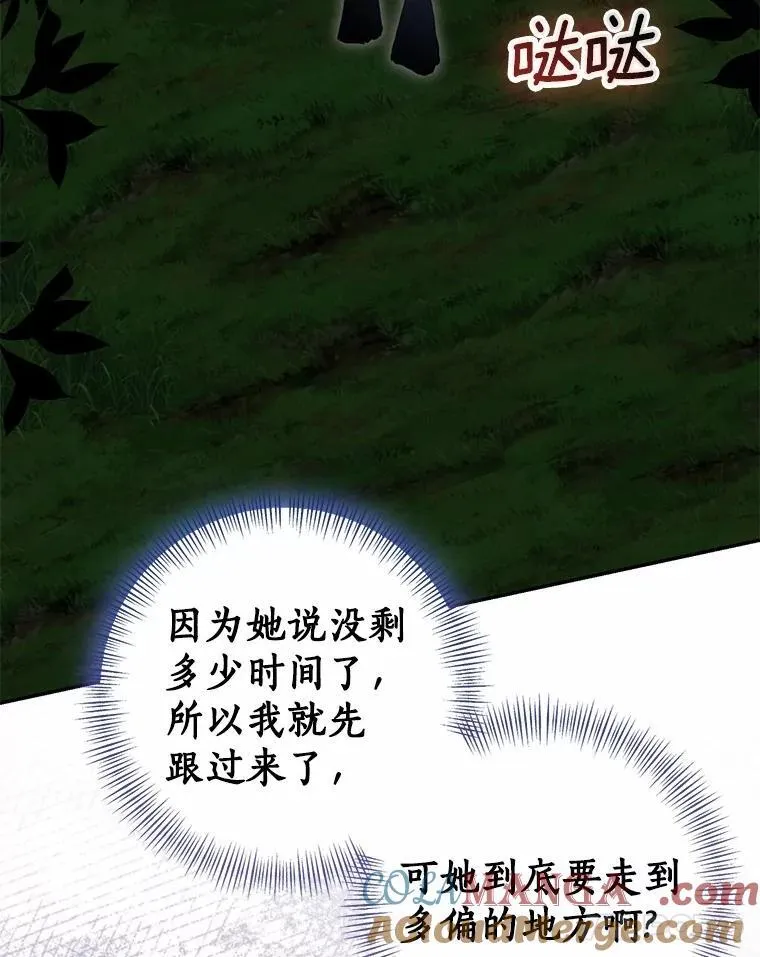 81.真正的实权者24