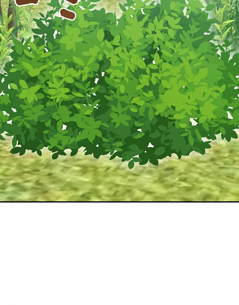 47.深树林71