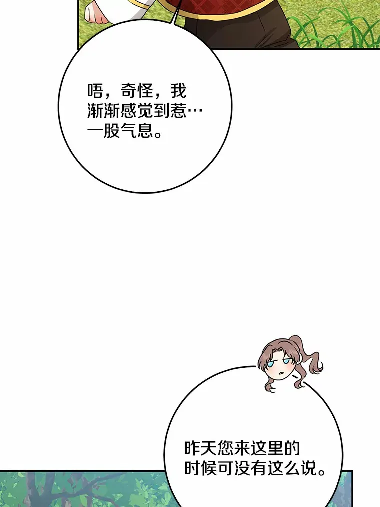 47.深树林61