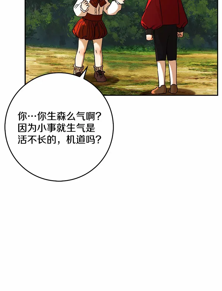 40.神秘的西卡勒96