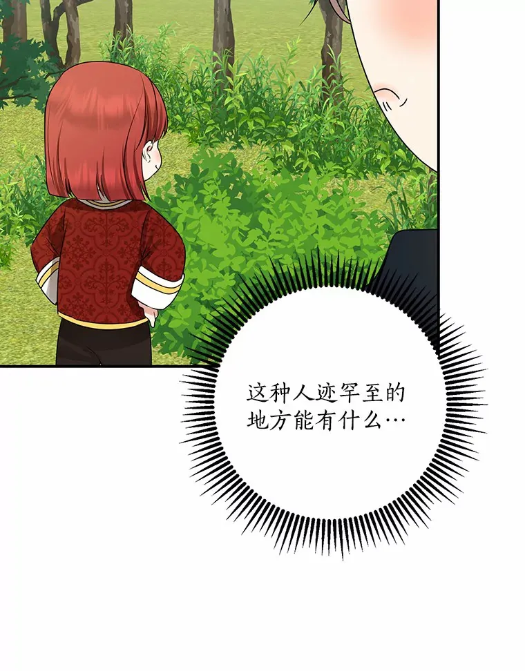 47.深树林74