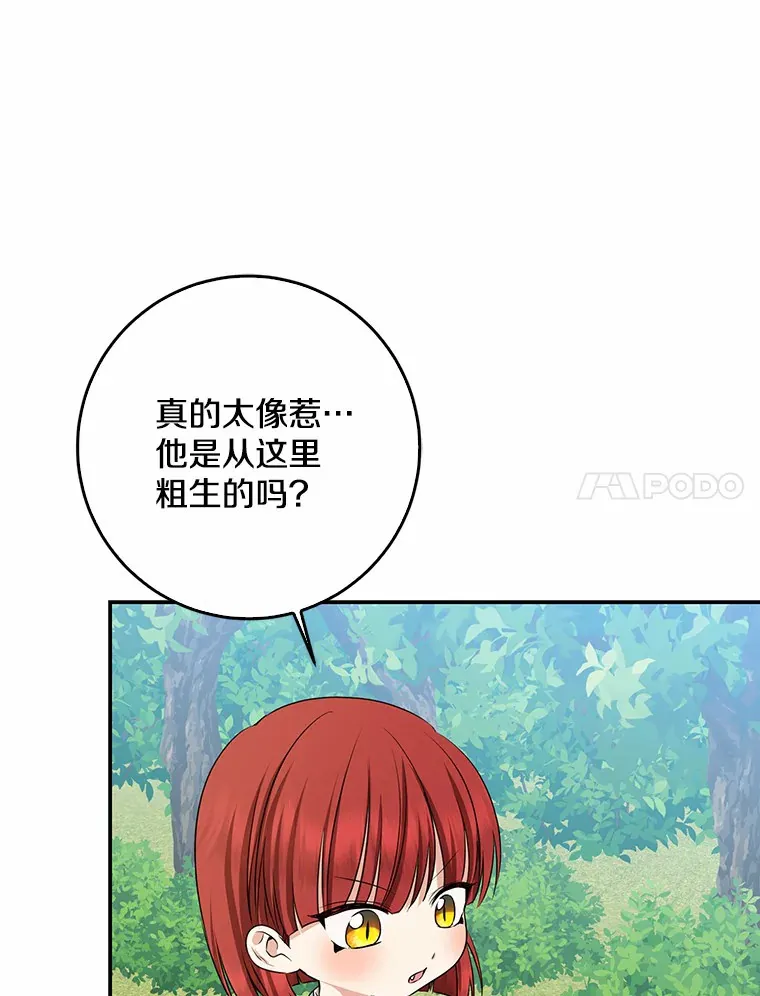 47.深树林89