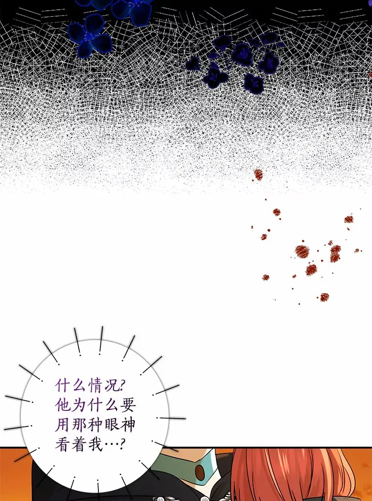 40.神秘的西卡勒138