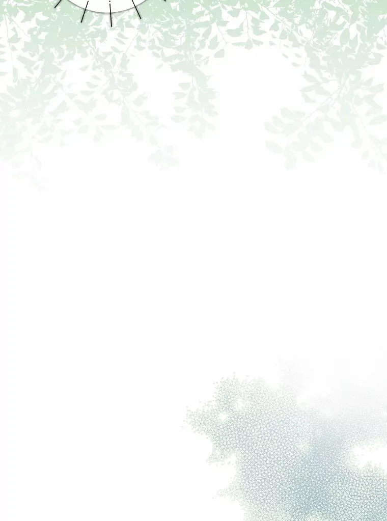 40.神秘的西卡勒2