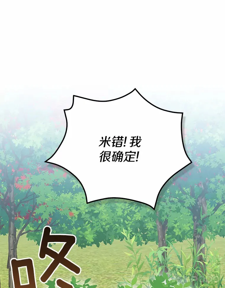 47.深树林70