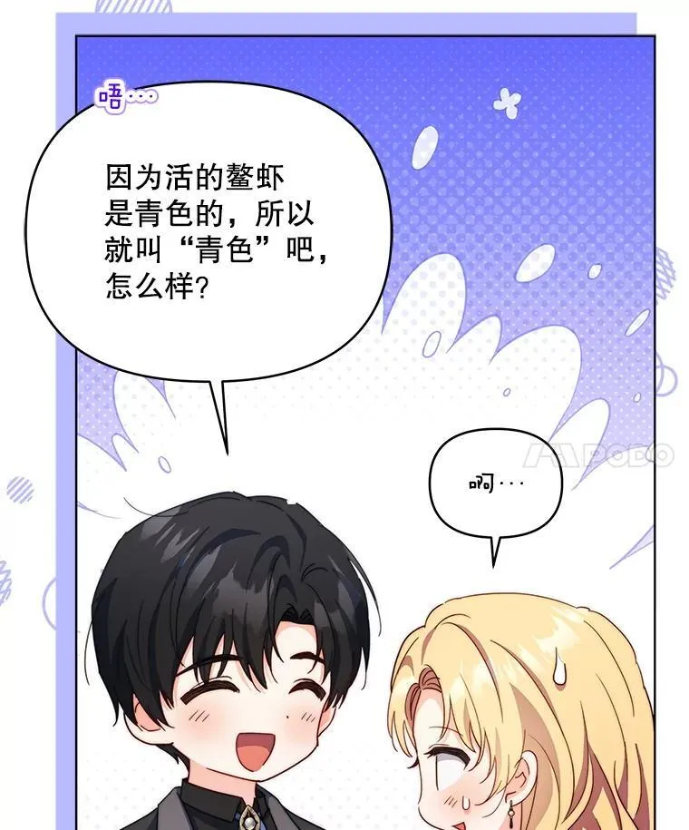 62.来到海边47