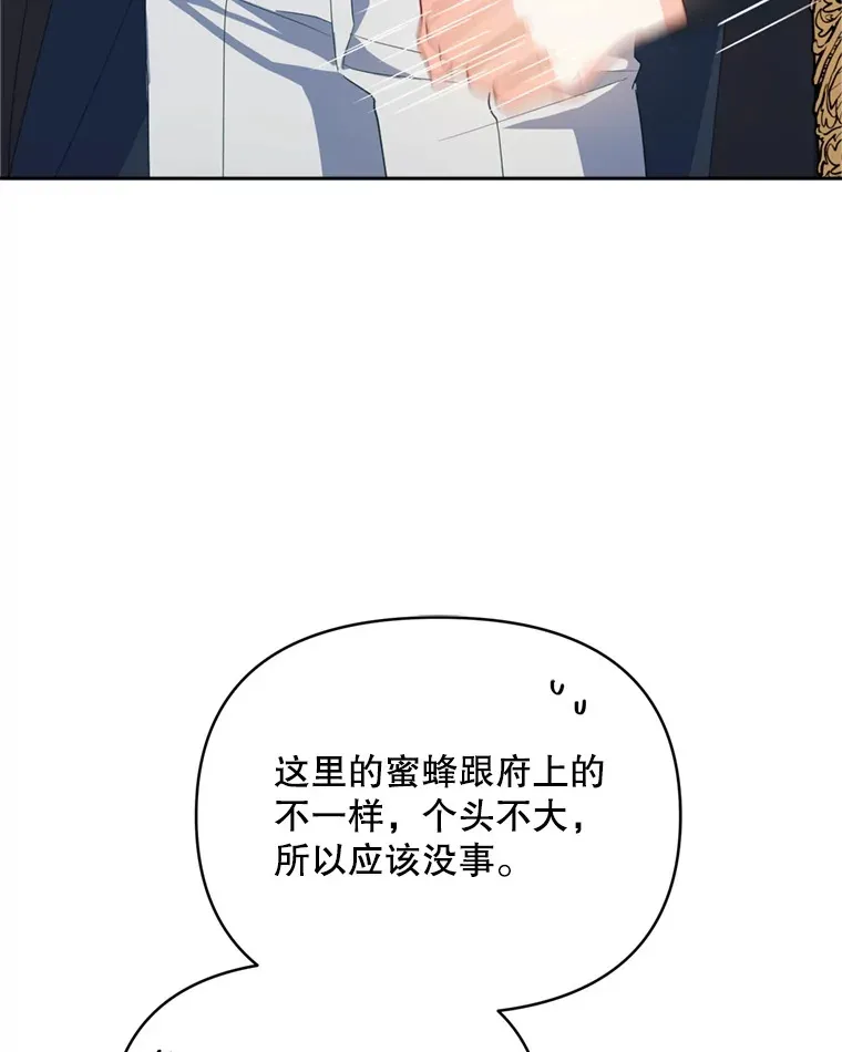 56.神奇的魔兽52