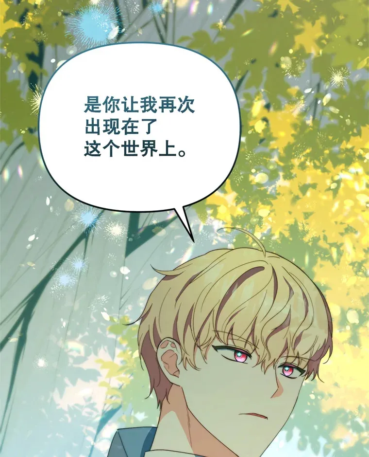 47.净化能力显现24