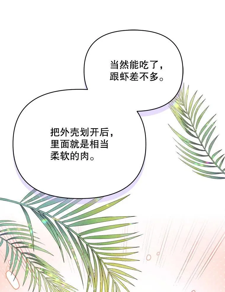 62.来到海边42
