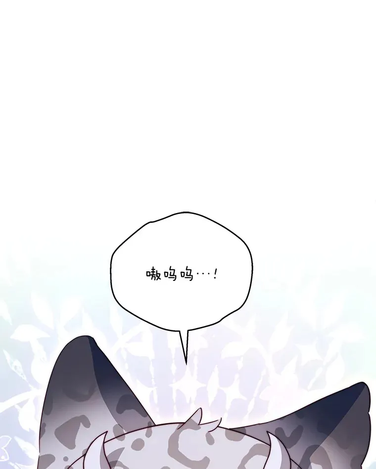 35.过敏81