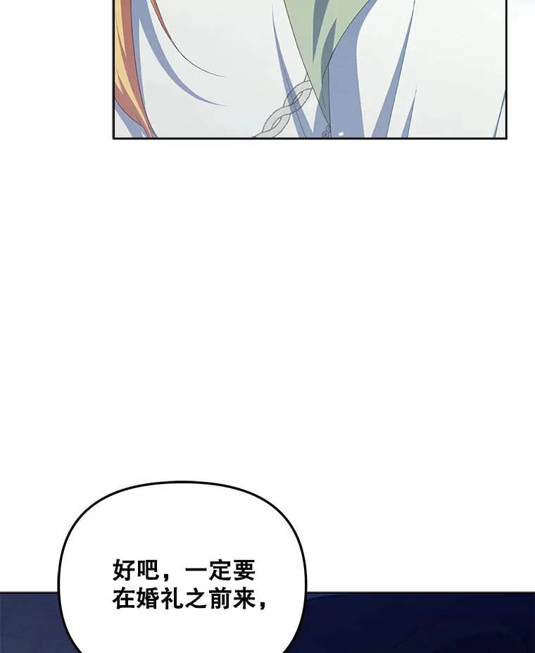 30.克里夫来访95