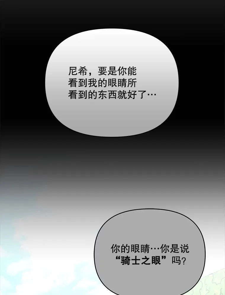 31.骑士之眼113