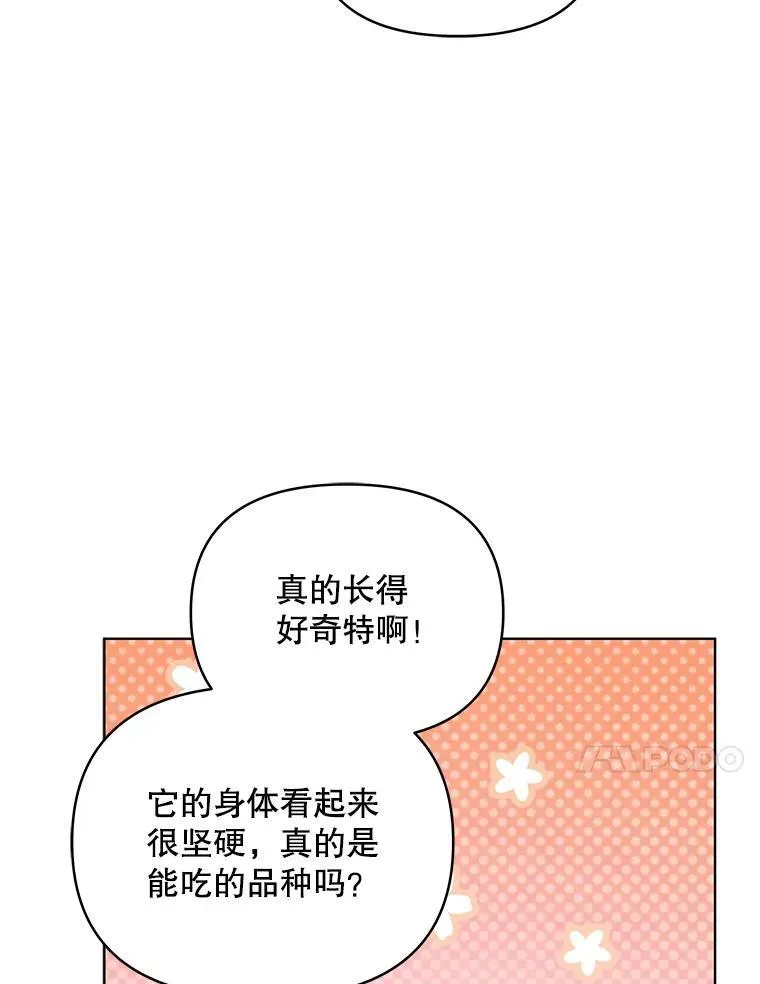 62.来到海边40