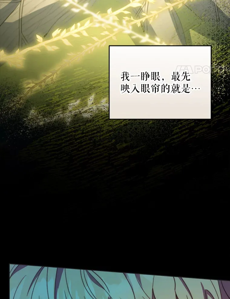 47.净化能力显现35
