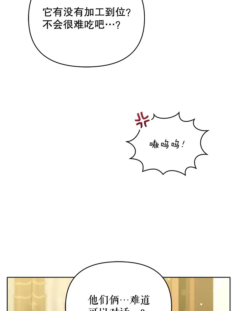 35.过敏101