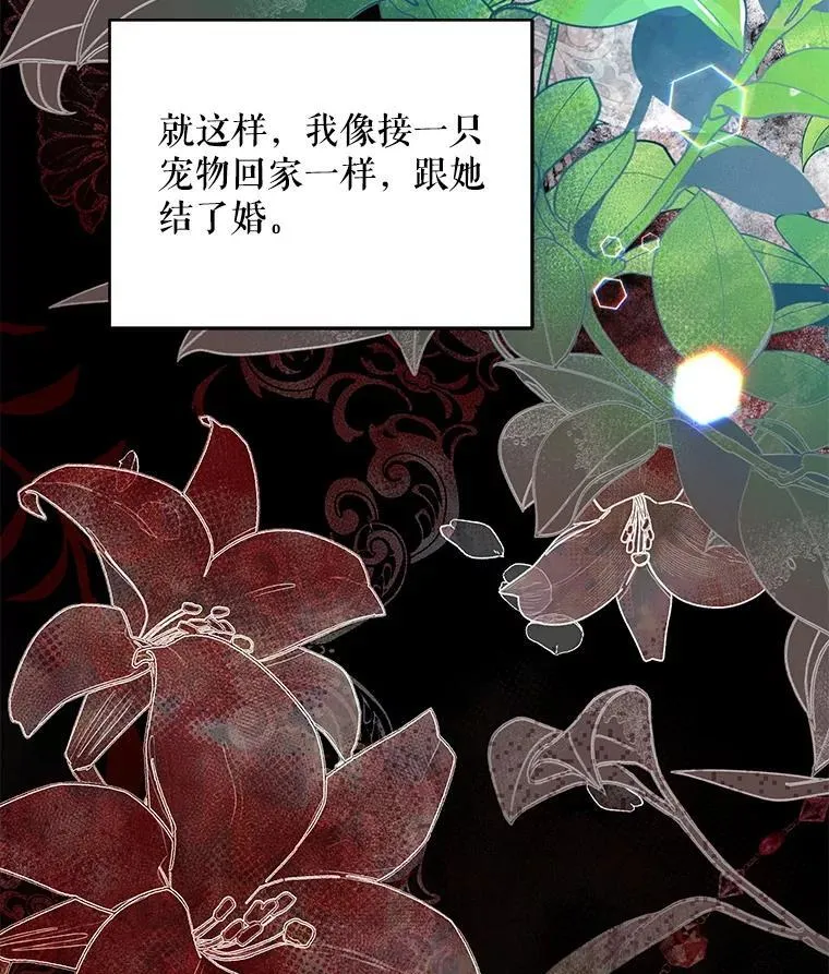 68.凯撒克的回忆89