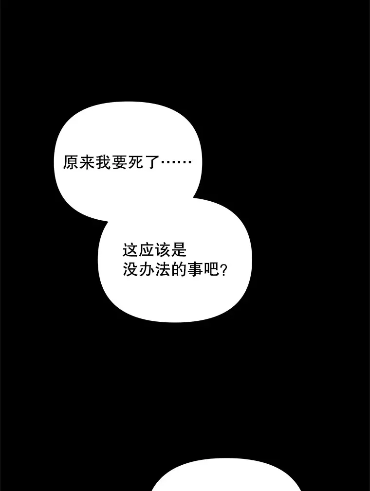 5.蕾西亚的死42