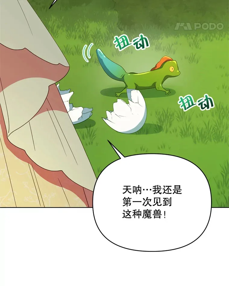 56.神奇的魔兽78
