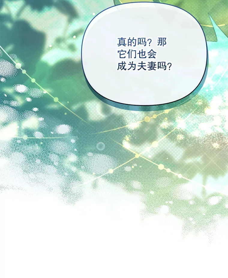 41.又是那个梦52