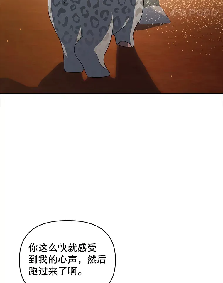 29.大战小洛68