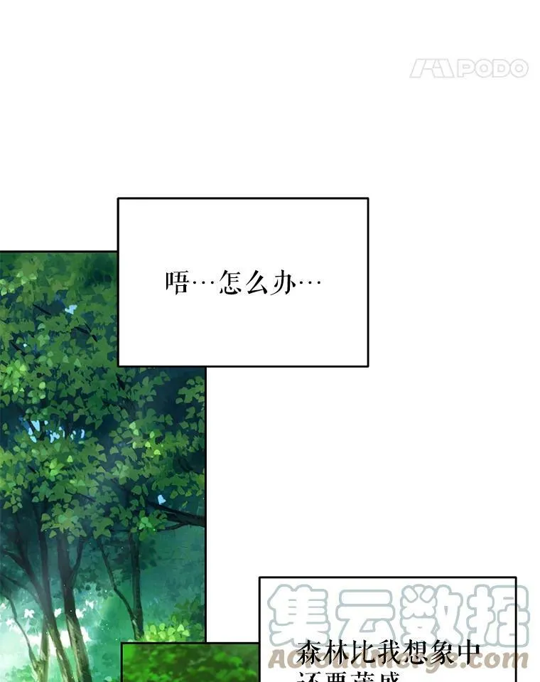 66.迷路了81