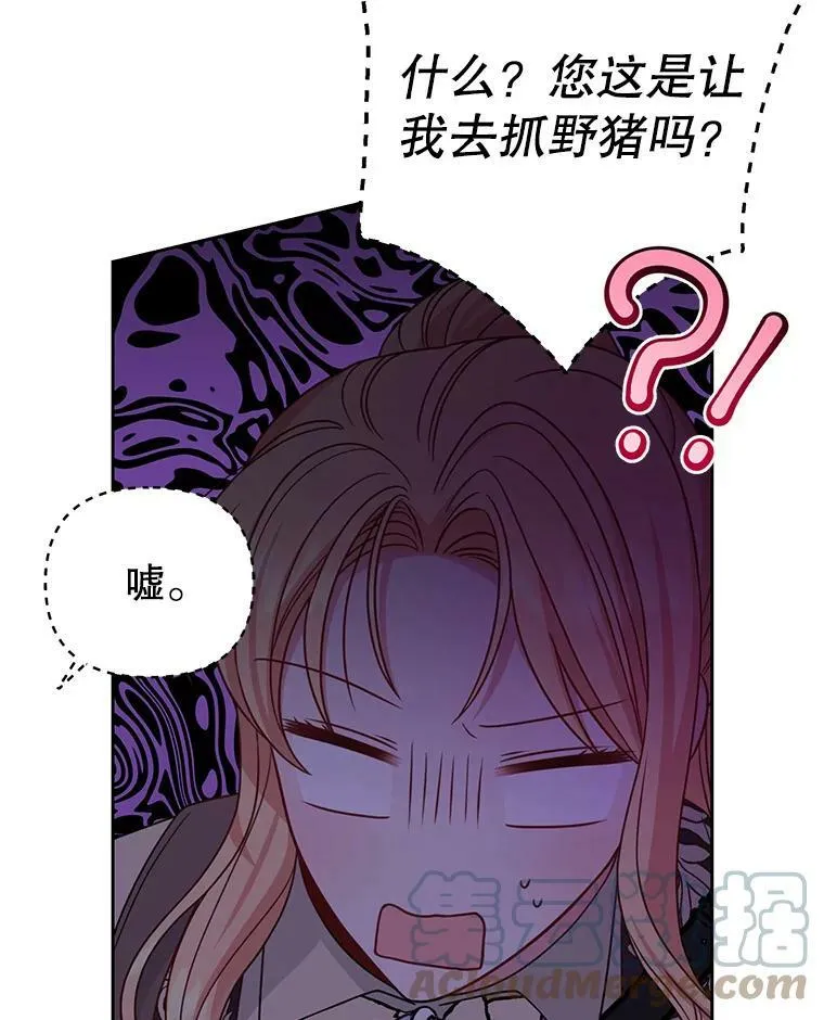67.抓到野猪啦！56