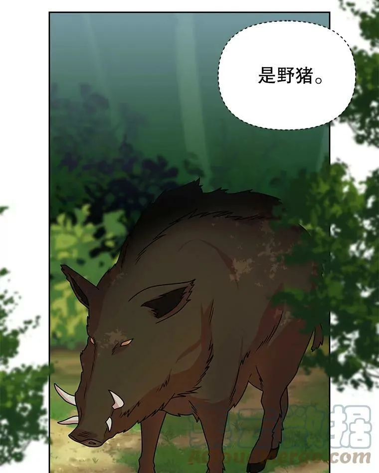 67.抓到野猪啦！52