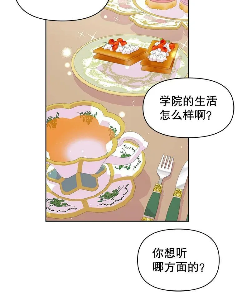 15.与双胞胎重逢71