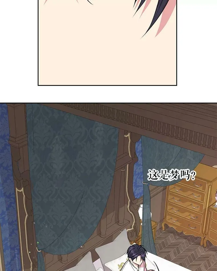 15.与双胞胎重逢19