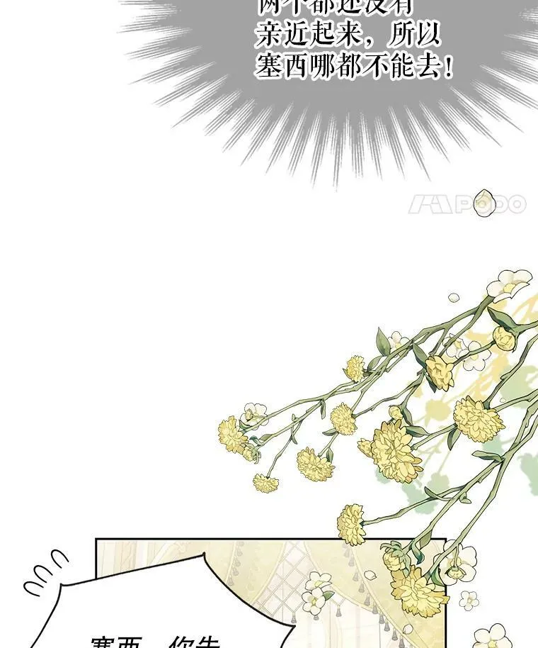 45.塞西莉亚的请求62