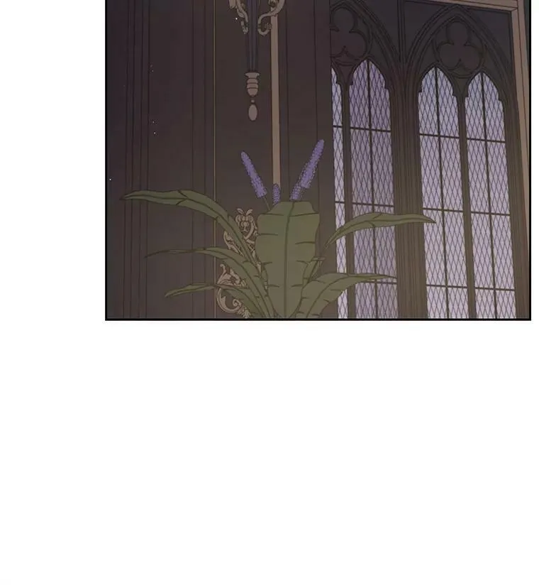 62.魔法项链19