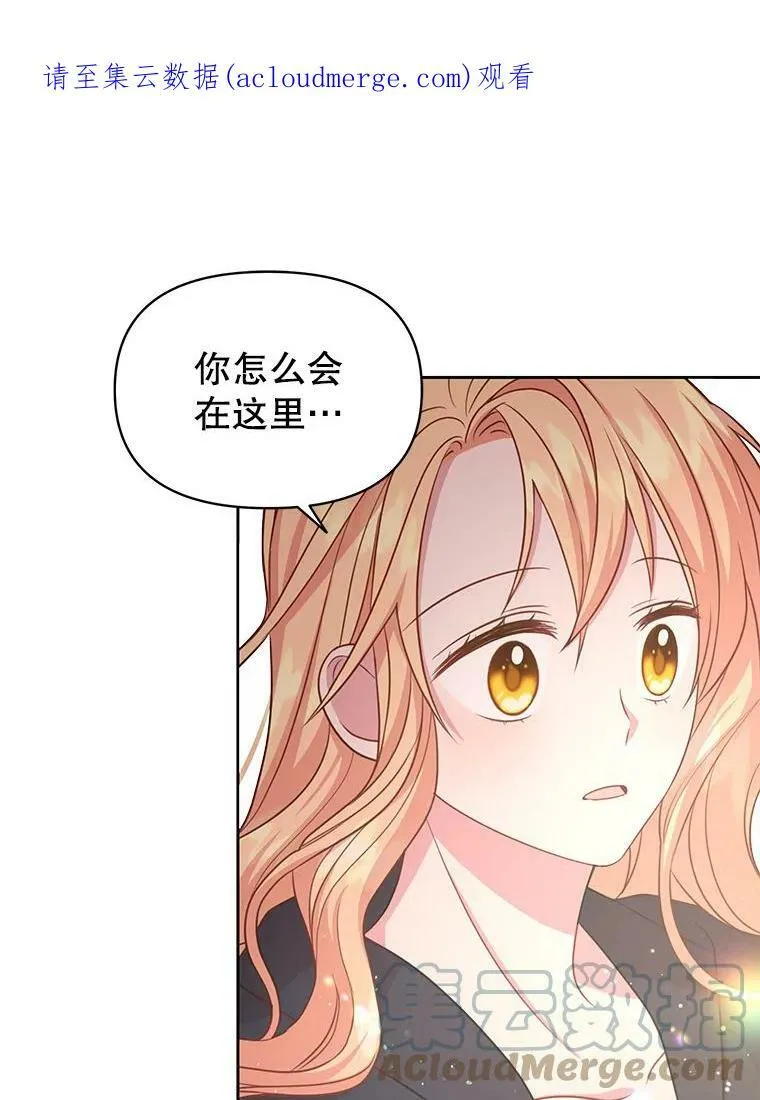 26.重生的原因0