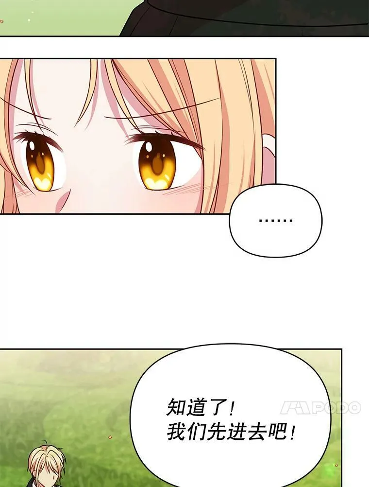 15.与双胞胎重逢62