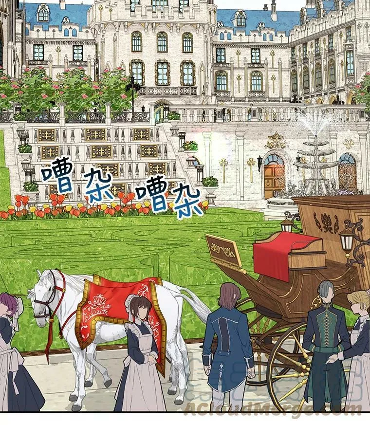 15.与双胞胎重逢30