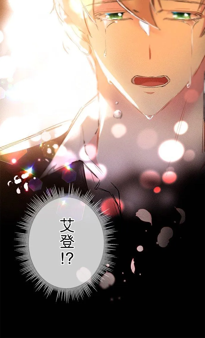 第36话41