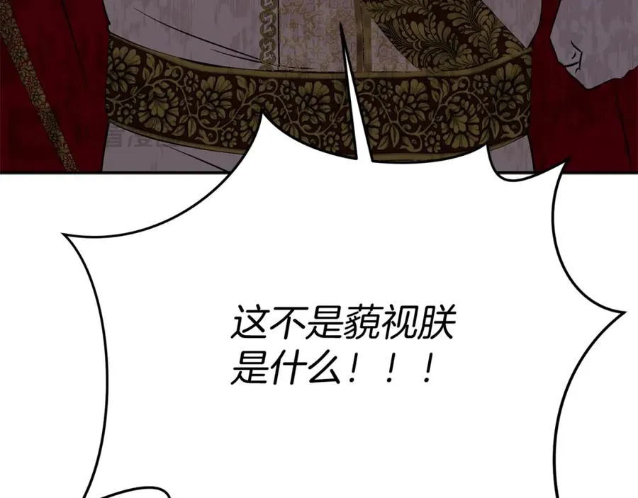 第42话 真正的生辰礼55