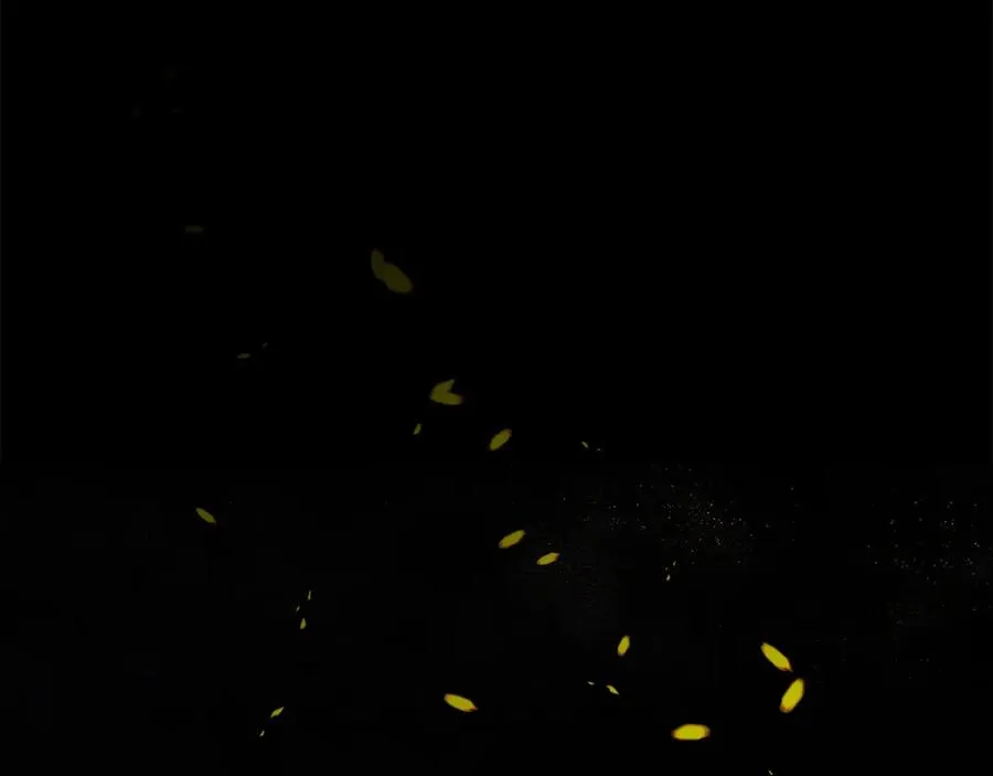 第21话 安抚噩梦237