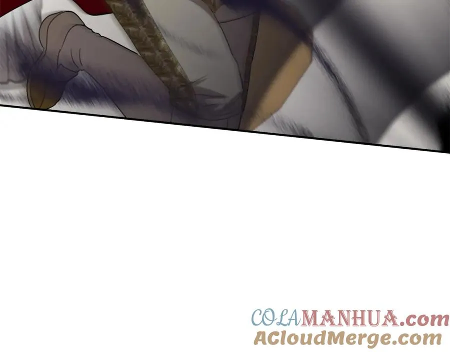 第42话 真正的生辰礼8