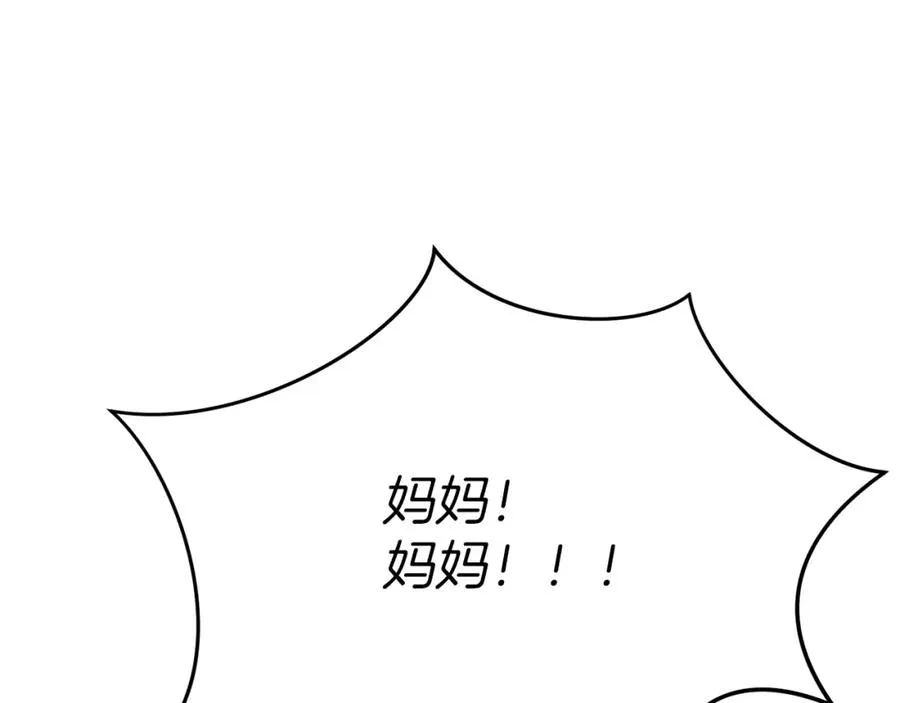 第42话 真正的生辰礼257